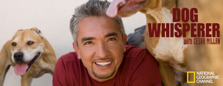 Cesar-Millan-the-dog-whisperer-25204454-900-350