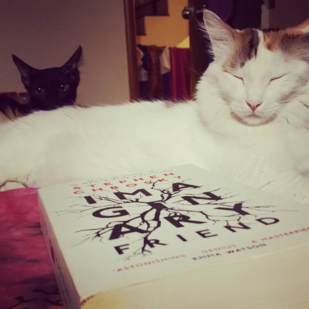 Audiobook Review: Imaginary Friend by Stephen&nbsp;Chbosky